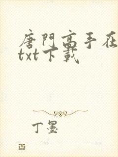 唐门高手在异世txt下载