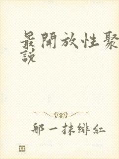 最开放性聚会小说