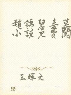 赵锦儿秦慕修的小说免费阅读全文