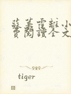 苏莱霍离小说免费阅读全文