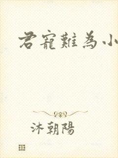 君宠难为小说封面