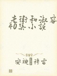 老卫和淑容1-40集小说封面