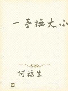 一手抚大小说