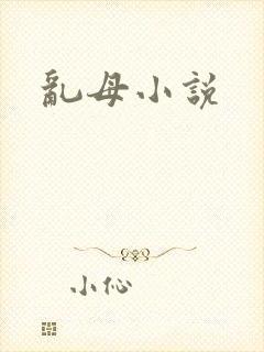 乱母小说