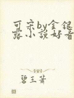 可宋by金银花露小说好看吗