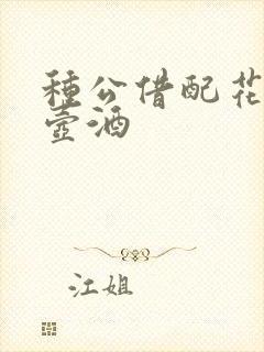 种公借配花间一壶酒