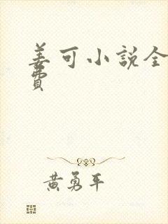 姜可小说全文免费封面