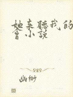 她来听我的演唱会小说