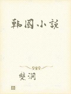 韩国小说封面