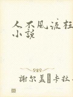 人不风流枉少年小说