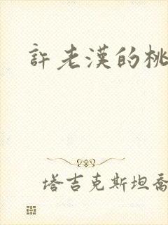 许老汉的桃花运