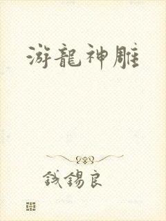 游龙神雕封面