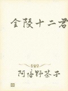 金陵十二君封面