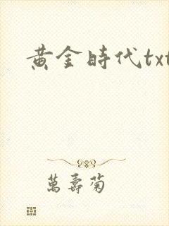 黄金时代txt封面