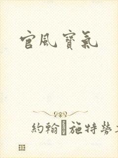 官风宝气封面