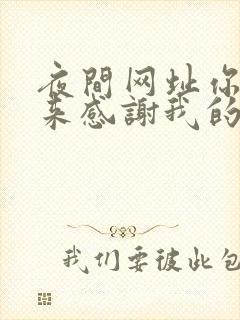 夜间网址你会回来感谢我的