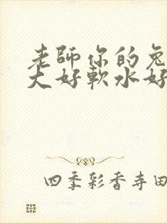 老师你的兔子好大好软水好多