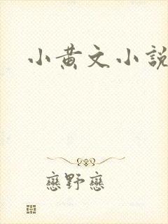 小黄文小说