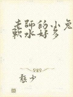 老师的小兔子好软水好多