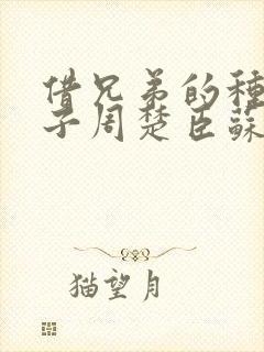 借兄弟的种生孩子周楚臣苏糖封面