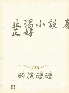 止渴小说 春光正好