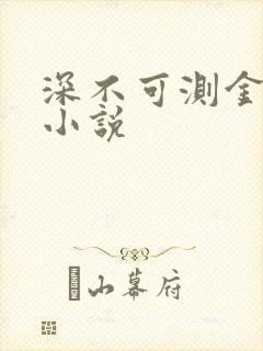 深不可测金银花小说封面