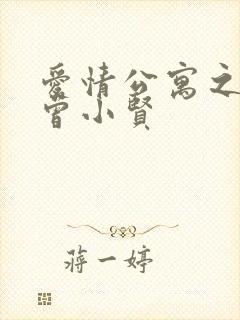 爱情公寓之极品曾小贤封面