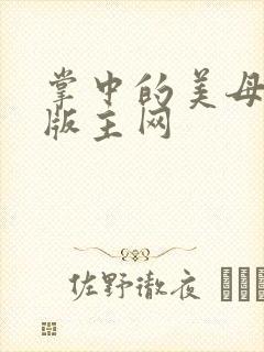 掌中的美母第一版主网