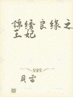 锦绣良缘之北地王妃