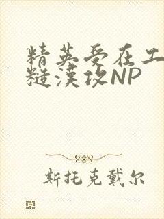 精英受在工地被糙汉攻NP