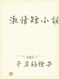 激情短小说