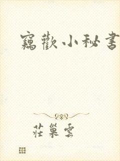 窃欢小秘书封面