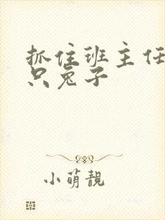 抓住班主任的两只兔子封面