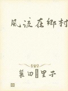 风流在乡村