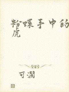 粉蝶手中的纸老虎封面