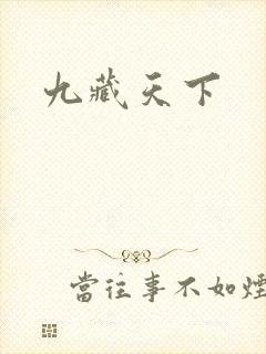 九藏天下