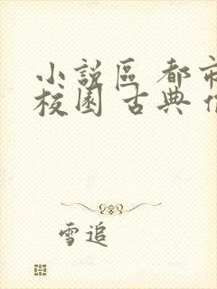 小说区 都市 校园 古典 偷拍