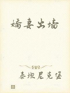 娇妻出墙封面