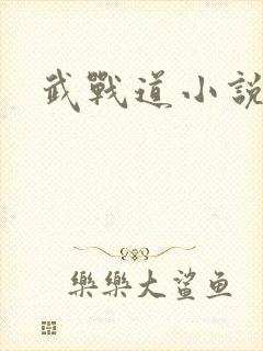 武战道小说