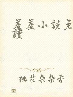 羞羞小说免费阅读封面