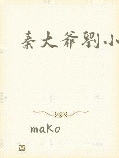 秦大爷刘小静封面