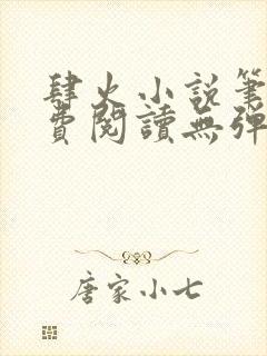 肆火小说笔趣免费阅读无弹窗