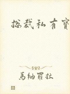 总裁私有宝贝封面