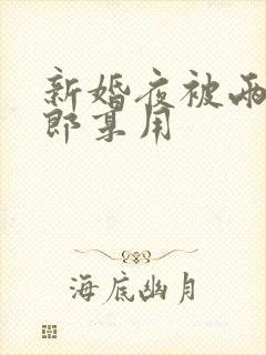 新婚夜被两个伴郎享用