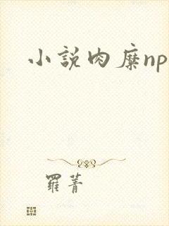 小说肉糜np封面