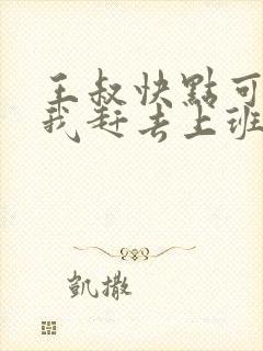 王叔快点可以吗我赶去上班