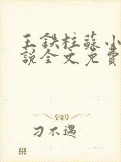 王铁柱苏小汐小说全文免费阅读最新章节封面