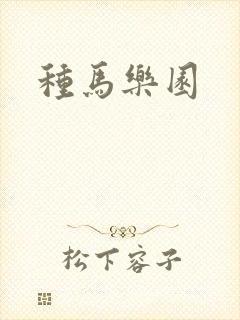 种马乐园封面