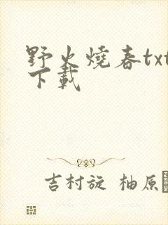 野火烧春txt下载封面