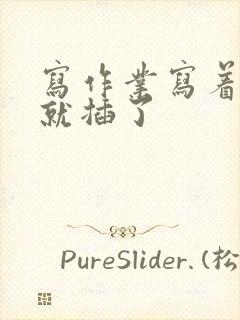 写作业写着写着就插了